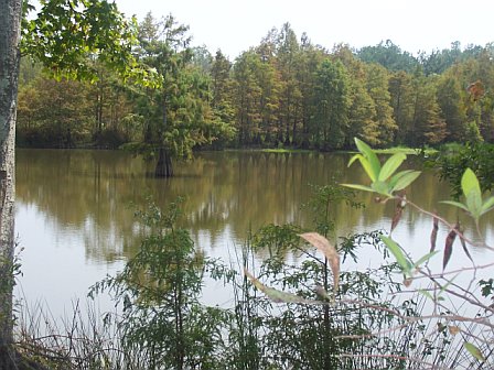 We spent 2 days in Alabama then headed on home stopping at Bogue Chitto  We spent 2 days in Alabama then headed on home stopping at Bogue Chitto